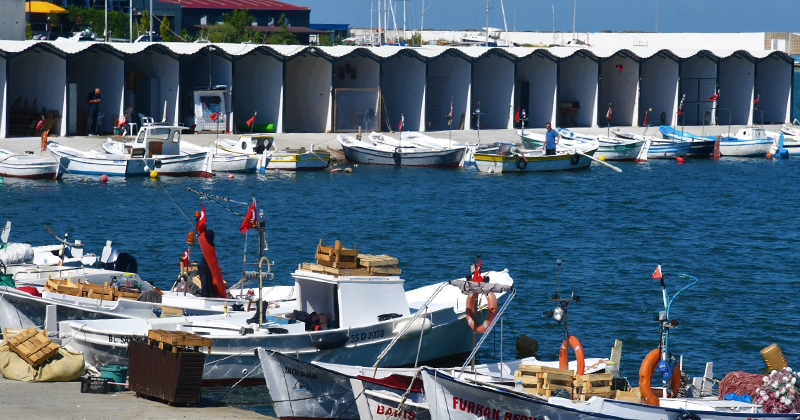 Samsun'da amatör balıkçılara 171 kulübe yapıldı