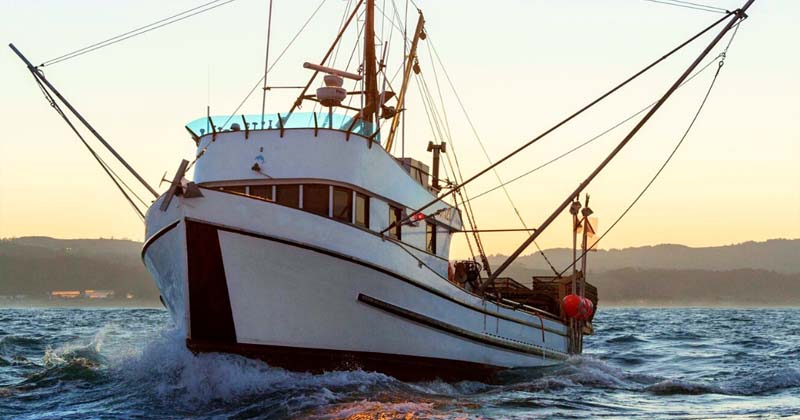 Samsun'da Küçük ölçekli balıkçılara destek ödemesi yapılacak