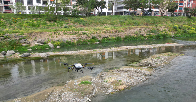 Samsun'da dereler drone ile ilaçlanıyor